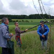 Taille de formation sur arbre replanté au  printemps